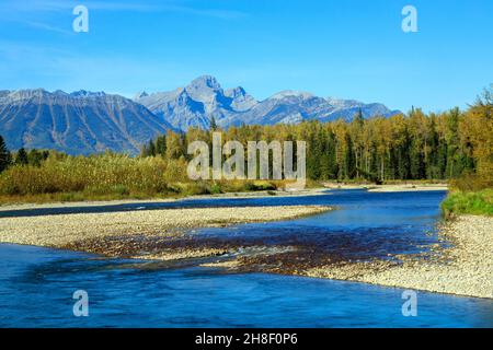 Il fiume Elk è un fiume lungo 220 chilometri, nel distretto di Kootenay sud-orientale della provincia canadese della British Columbia. Foto Stock