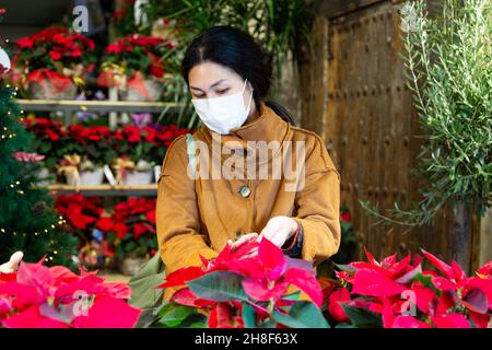 Donna in maschera protettiva sceglie fiori poinsettias pulcherrima Foto Stock