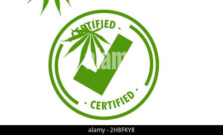 Illustrazione 3d - icona del segno di spunta verde e foglie di marijuana Foto Stock