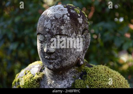 Kyoto, Giappone. 27 novembre 2021. La statua di Buddha ricoperta di muschio è visibile all'interno del Tempio Eikando Zenrin-ji a Kyoto. Il Tempio Eikando Zenrin-ji è uno dei templi più antichi di Kyoto. Fondata nel 863 d.C., è stata testimone di molte guerre e distruzioni solo per essere ricostruita ogni volta dalla popolazione di Kyoto. Ospita la setta buddhista Jodo Seizan Zenrin-Ji. Il complesso giardino attira molti visitatori, soprattutto durante la stagione autunnale. Credit: SOPA Images Limited/Alamy Live News Foto Stock