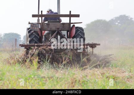 Un coltivatore indiano di lavoratrice maschile che arava il campo con l'aiuto di un aratro trattore Foto Stock