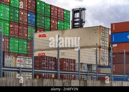 Contenitori pronti per essere caricati e trasportati su navi dal porto internazionale di Amburgo. Amburgo, Germania Foto Stock