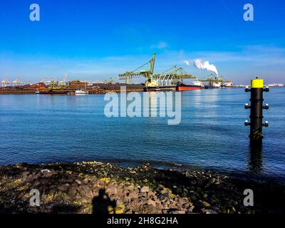 Rotterdam, Paesi Bassi. Vista sul terminal Emo Cole & ore all'interno del porto di Rotterdam Harbour e 2ns Maasvlakte durante il sole, sabato pomeriggio. In particolare, il carbone duro è un combustibile fossile molto inquinante, che alimenta impianti energetici ed elettrici in tutta Europa. A causa del cambiamento climatico, gli investimenti nel carbone vincente e usato sono in declino. Foto Stock