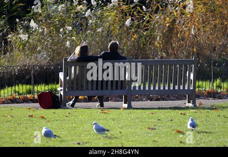 Lond, Regno Unito. 25 novembre 2021. Freddo ma soleggiato nel St James's Park. Una coppia su una panca vicino ai letti di canna Foto Stock