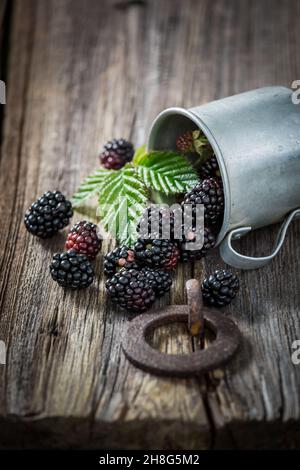 More dolci direttamente dal giardino. Frutta piena di vitamine. Piccola e frutta. Foto Stock