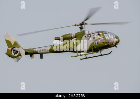 Westland AH1 SA341 Gazelle HT2 elicottero XX436 in Royal Marines militare camouflage colori. Civile di proprietà come G-ZZLE di Gazelle Squadron Foto Stock