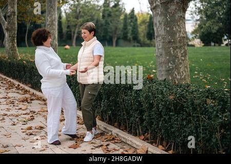 gli amici anziani sono felici di incontrarsi e di parlare felicemente. Le donne anziane che parlano. Due vecchi amici si sono incontrati nel parco. Stile di vita attivo di anziani e middl Foto Stock