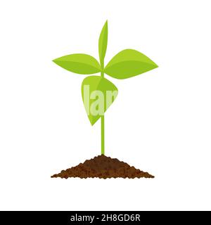 Illustrazione vettoriale botanica di germoglio, isolata su sfondo bianco EPS 10 Illustrazione Vettoriale