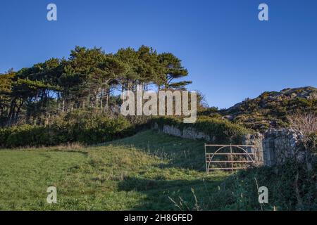 Rovine sulla riva del mare della penisola di Howth Head nella splendida luce del tramonto, Dublino, Irlanda Foto Stock
