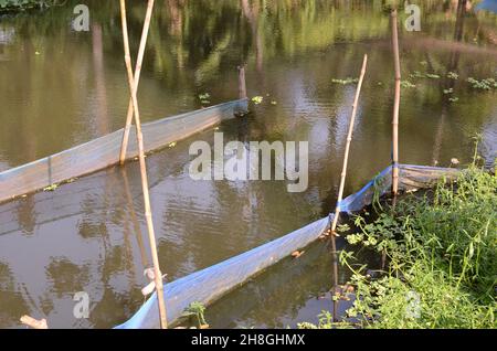 Bei villaggi di Bengala, corpi d'acqua, palme, palme da datteri, reti da pesca, barche da pesca Foto Stock