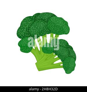 Broccoli isolati su sfondo bianco. Illustrazione vettoriale di una verdura fresca in stile piatto. Illustrazione Vettoriale