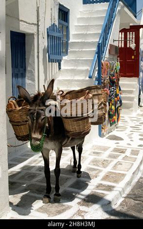 Vista intorno a Mykonos un'isola nel gruppo delle Cicladi nel Mar Egeo. Trasporto asino Foto Stock