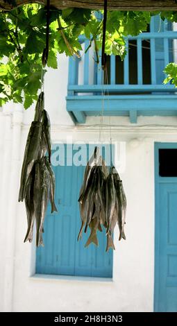 Vista intorno a Mykonos un'isola nel gruppo delle Cicladi nel Mar Egeo. Foto Stock