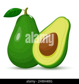 Avocado intero e mezzo. Avocado verde con seme. Frutta isolata su sfondo bianco. Design piatto. Illustrazione vettoriale Illustrazione Vettoriale