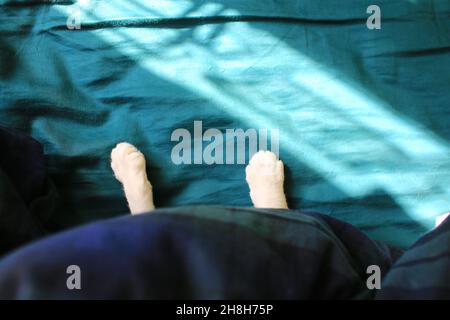 gatto con la zampa sul letto Foto Stock