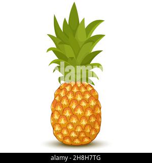 Ananas isolato su sfondo bianco. Illustrazione vettoriale della frutta tropicale in stile cartoon flat. Illustrazione Vettoriale