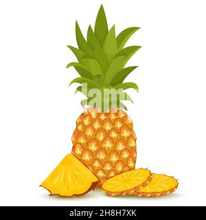 Ananas intero con fette rotonde e pezzo isolato su sfondo bianco. Illustrazione vettoriale. Design piatto Illustrazione Vettoriale