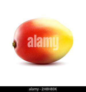 Mango. Frutti di mango. Frutta dolce. set di icone vettoriali 3d. Illustrazione vettoriale realistica isolata su sfondo bianco, griglia modificabile fatta a mano Illustrazione Vettoriale