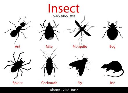 Pest Control insetti nero silhouette set, icone insetti isolato su bianco, stile piatto Illustrazione Vettoriale