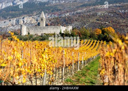 Vigneto e la chiesa della Santissima Trinità a Hrastovlje in autunno, Slovenia Foto Stock