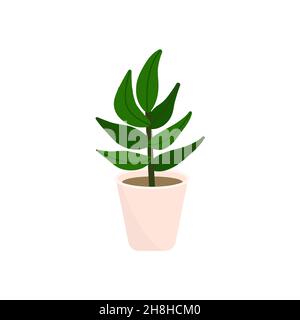 Piante decorative. Piante e natura fiori fatti in casa in vaso decorazione interna in stile cartoon piatto. Illustrazione vettoriale Illustrazione Vettoriale