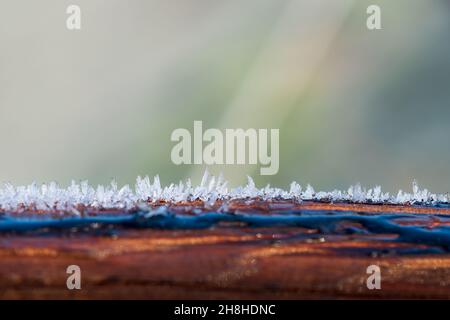 Gelo cristalli su un tronco di albero. Legno rivestito con struttura naturale di cristalli di ghiaccio in piedi. Concetti di inverno, temperatura fredda, hoarfrost. Macro. Foto Stock