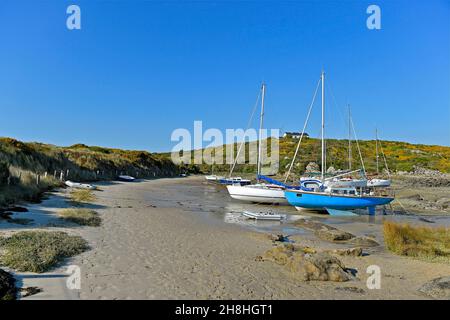 Francia, Manica, Isole Chausey, barche a vela all'ancora sotto il semaforo Foto Stock