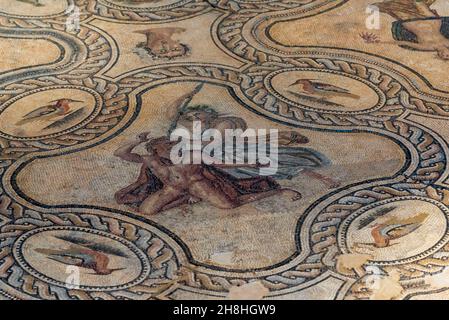 Francia, Gard, Nimes, Museo della romanità dell'architetto Elizabeth de Portzamparc, mosaico di Pentheus Foto Stock