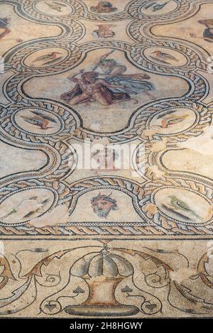 Francia, Gard, Nimes, Museo della romanità dell'architetto Elizabeth de Portzamparc, mosaico di Pentheus Foto Stock