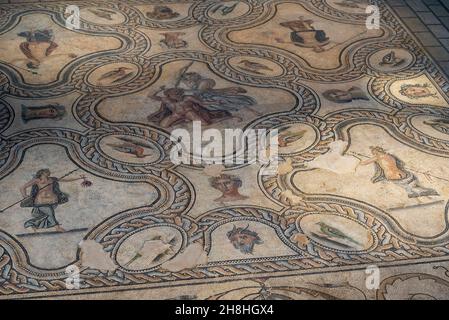 Francia, Gard, Nimes, Museo della romanità dell'architetto Elizabeth de Portzamparc, mosaico di Pentheus Foto Stock