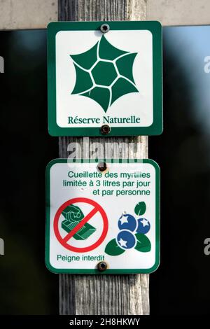 Francia, Vosgi, Ventron, Grand Ventron, segnaletica, Logo della Riserva Naturale Nazionale del Grand Ventron, regolamento per la raccolta dei mirtilli Foto Stock