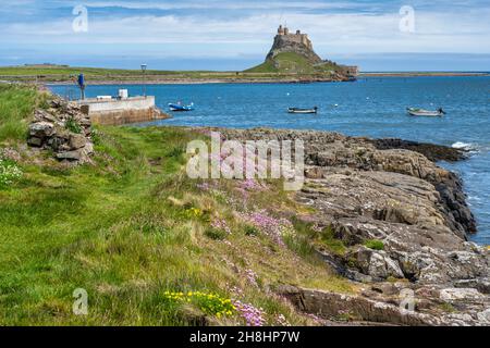 Il mare prospera sulla costa con vista sul porto fino al castello di Lindisfarne sull'Isola Sacra sulla costa del Northumberland in Inghilterra, Regno Unito Foto Stock