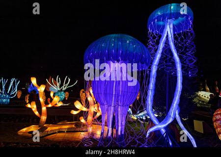 Parigi, Francia. 29 novembre 2021. Terza edizione del Jardin des Plantes Lantern Festival con il tema 'evoluzione nel processo di illuminazione'. Foto Stock