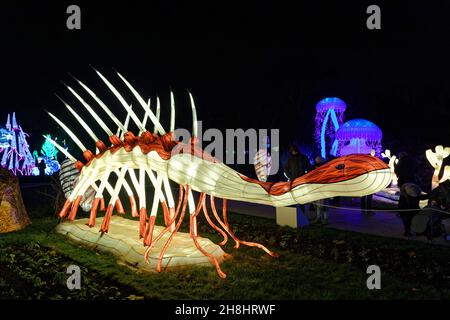 Parigi, Francia. 29 novembre 2021. Terza edizione del Jardin des Plantes Lantern Festival con il tema 'evoluzione nel processo di illuminazione'. Foto Stock