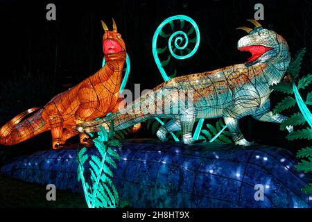 Parigi, Francia. 29 novembre 2021. Terza edizione del Jardin des Plantes Lantern Festival con il tema 'evoluzione nel processo di illuminazione'. Foto Stock