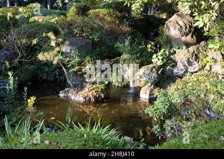 Giardino Giapponese con una piccola cascata Foto Stock