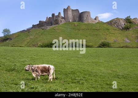 Carreg Cennen Castle, Black Mountains, Carmarthenshire, Galles del Sud Foto Stock