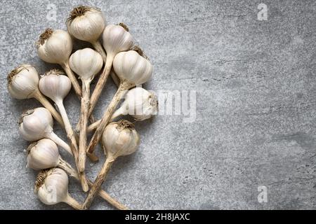 Aglio fresco raccolto dal giardino per la vendita. Ingrediente di cottura. Mucchio di teste di aglio bianco su uno sfondo di calcestruzzo con spazio copia. Vista dall'alto Foto Stock