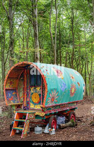 Caravan tradizionale zingaro o carrello in foresta Foto Stock