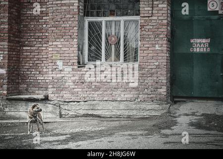 15 maggio 2016, Russia, Tomsk, cane per strada e nota in russo ATTENZIONE AL CANE VIZIOSO Foto Stock