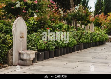 Vasi di fiori nel cimitero della Moschea di Suleymaniye Foto Stock