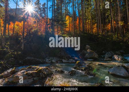 Zauberwald o Magic Wood con il torrente Ramsauer Ache vicino a Hintersee in colori autunnali, Ramsau, alta Baviera, Germania meridionale Foto Stock
