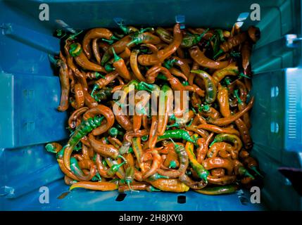 Foto in alto di peperoncini caldi / peperoncini in gabbia, molto colorato e grafico Foto Stock