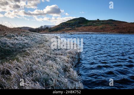 Ice Rime su erba e canne vicino a Lily Tarn, Loughrigg Fell, Lake District, Regno Unito Foto Stock