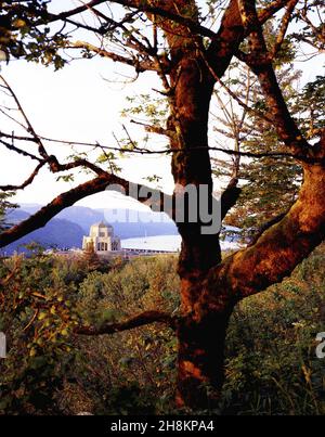 Vista casa a Crown Point lungo la Columbia River Gorge, Oregon Foto Stock