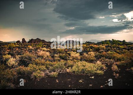 Vista dei campi ricoperti di lava e piante all'orizzonte, colline laviche, paesaggio vulcanico al Monumento Nazionale e Crater Reserve of the Moon Foto Stock