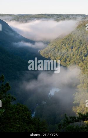 Pine Creek Gorge, Grand Canyon della Pennsylvania, Stati Uniti. Foto Stock