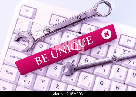 La visualizzazione concettuale è unica. Il concetto di business è l'unico nel suo genere a differenza di qualsiasi altra cosa incomparabile creazione di una nuova password per l'account Foto Stock