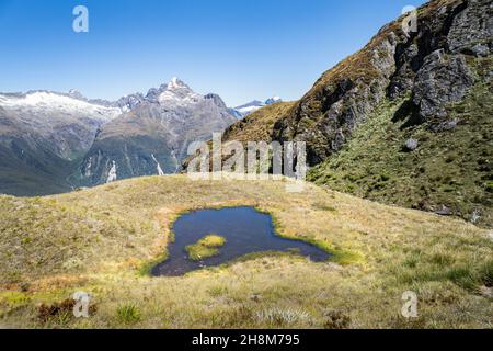 Un piccolo laghetto d'acqua sullo sfondo delle Alpi meridionali, Routeburn Track, South Island. Foto Stock