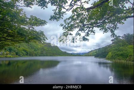 Paesaggi del Connemara e del Parco Nazionale di Killarney, montagne del Parco, paesaggi di Killarney e Connemara alla luce del sole, Irlanda Foto Stock